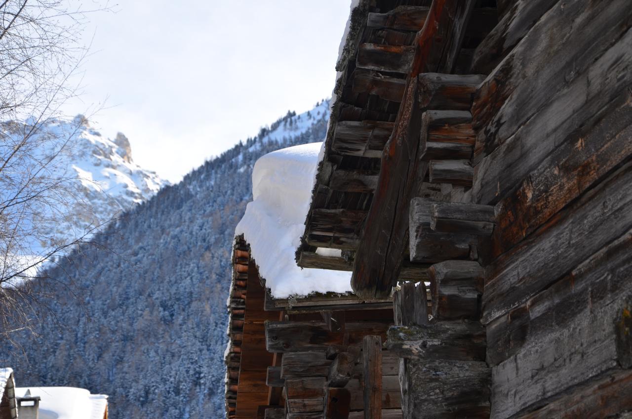 Guesthouse & Hotel Le Cervin Vissoie Bagian luar foto